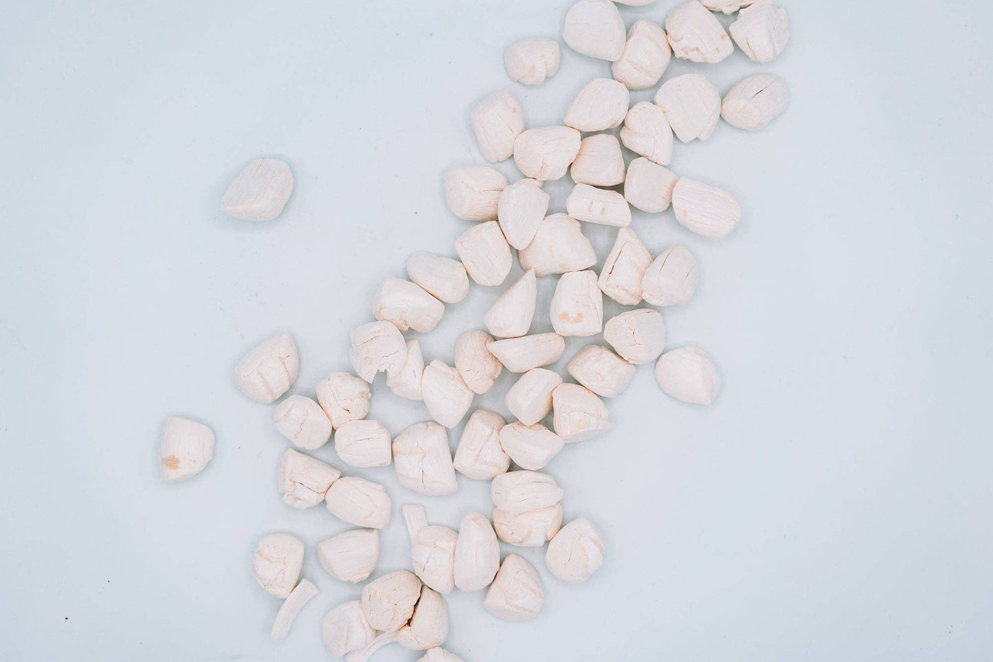 Freeze-Dried Scallops