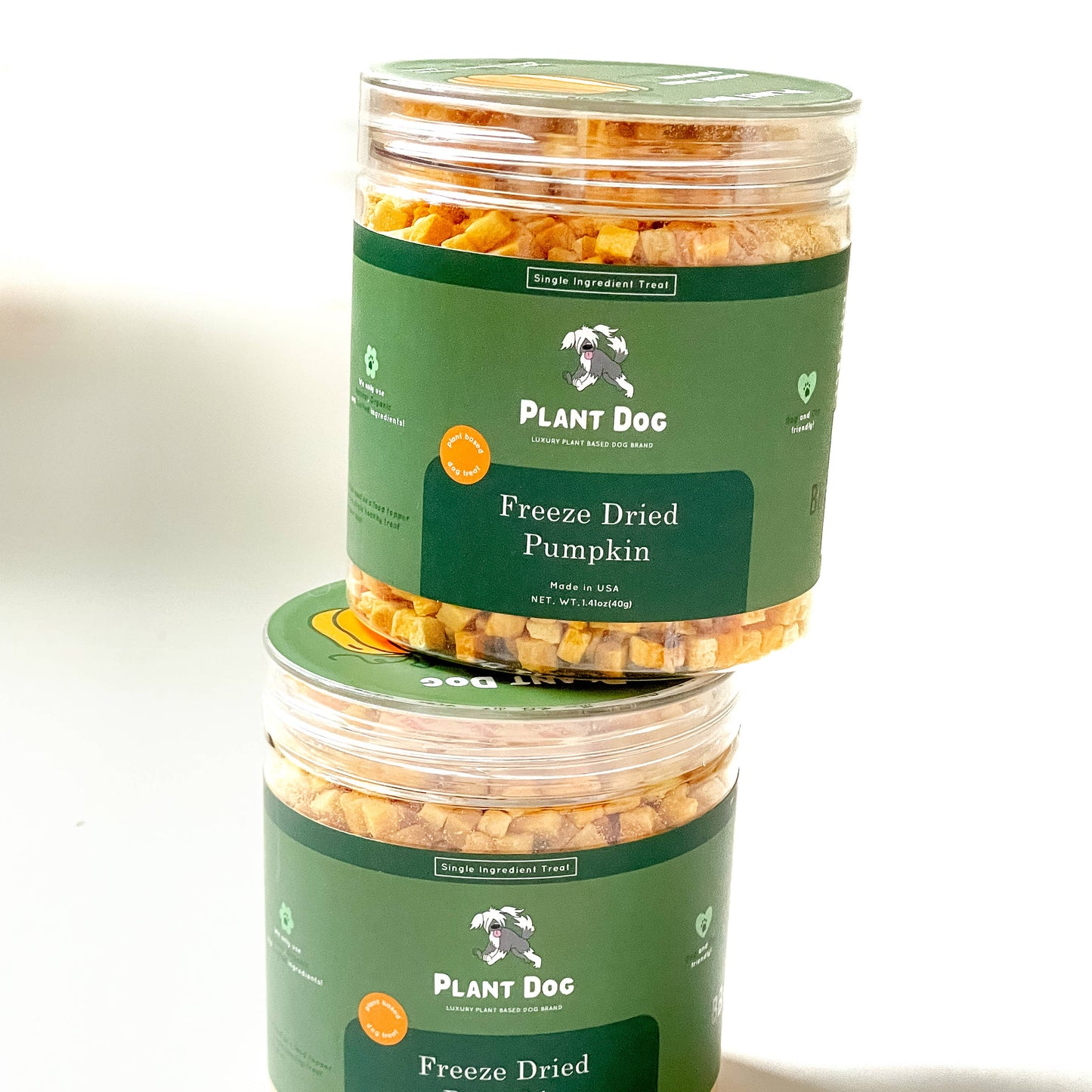 Freeze Dried Pumpkin