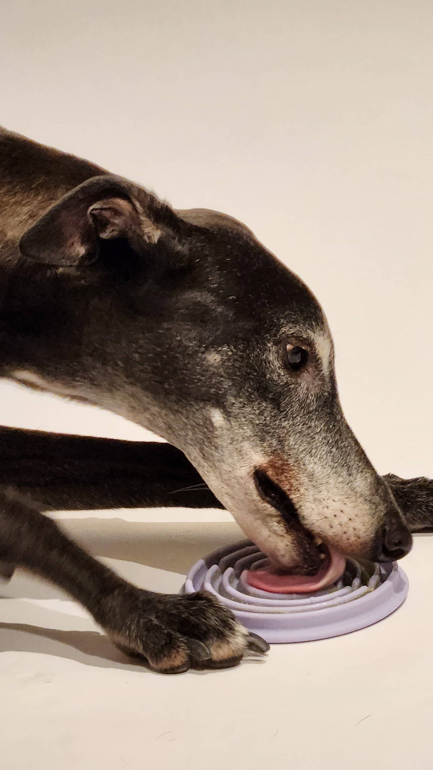 Twirl: Easy Clean Lick Mat