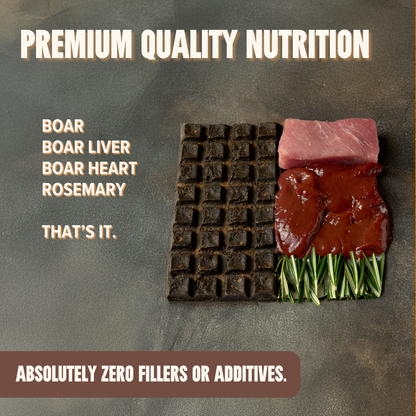 Boar Energy & Recovery Bar - Active Dogs