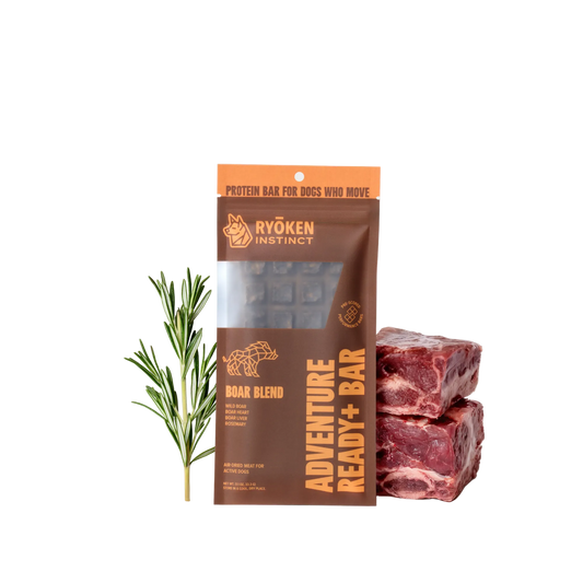Boar Energy & Recovery Bar - Active Dogs