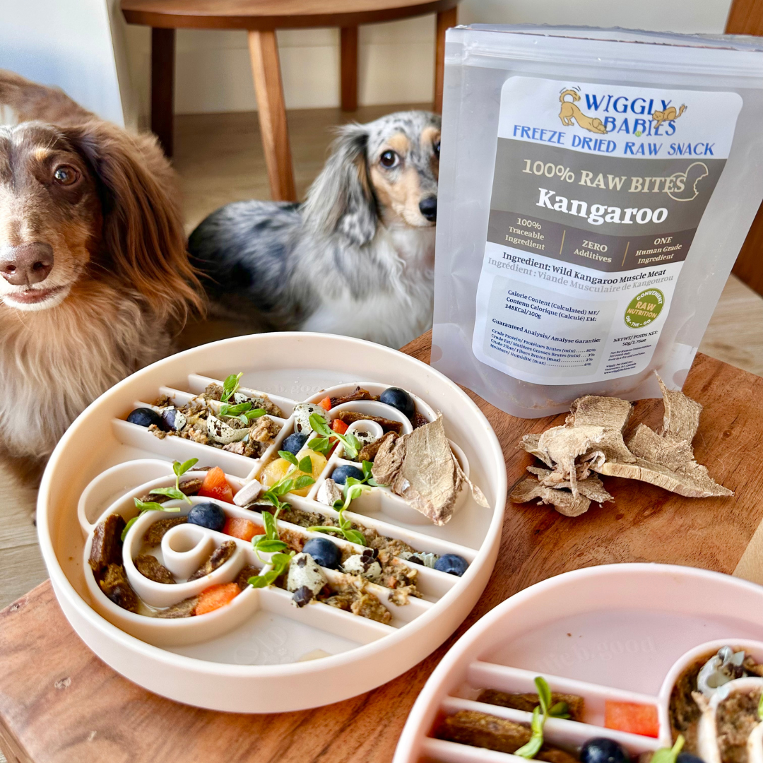Zoomies Slow Feeder Bowl - Oatmeal