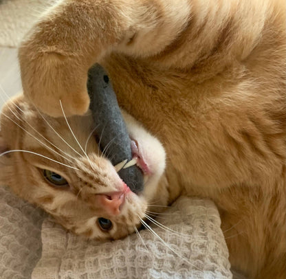 Organic Catnip Infused Wool Sardines 