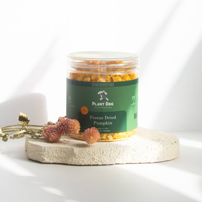 Freeze Dried Pumpkin