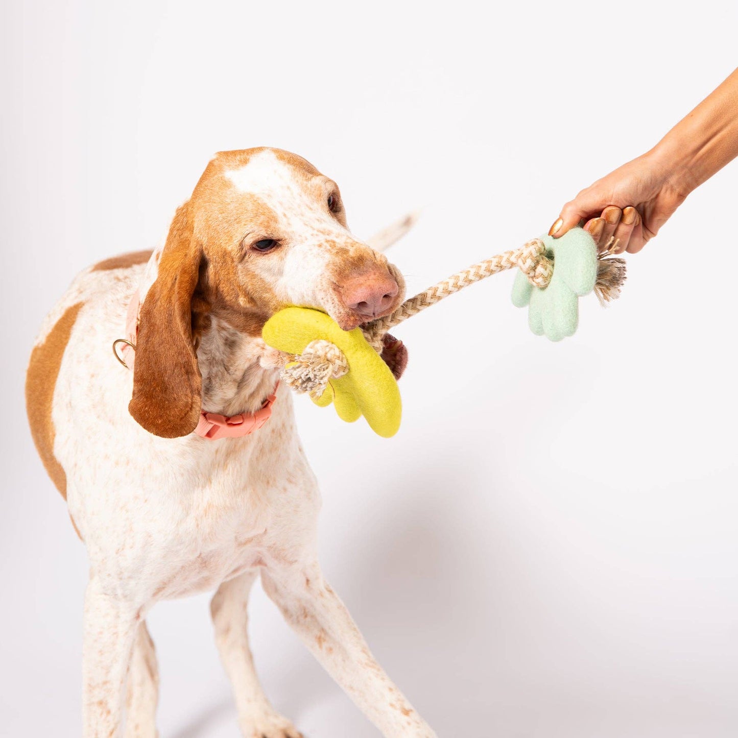 Turtle Doves Felt Toy