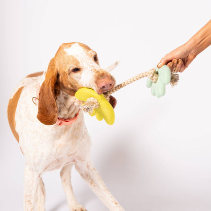 Turtle Doves Felt Toy