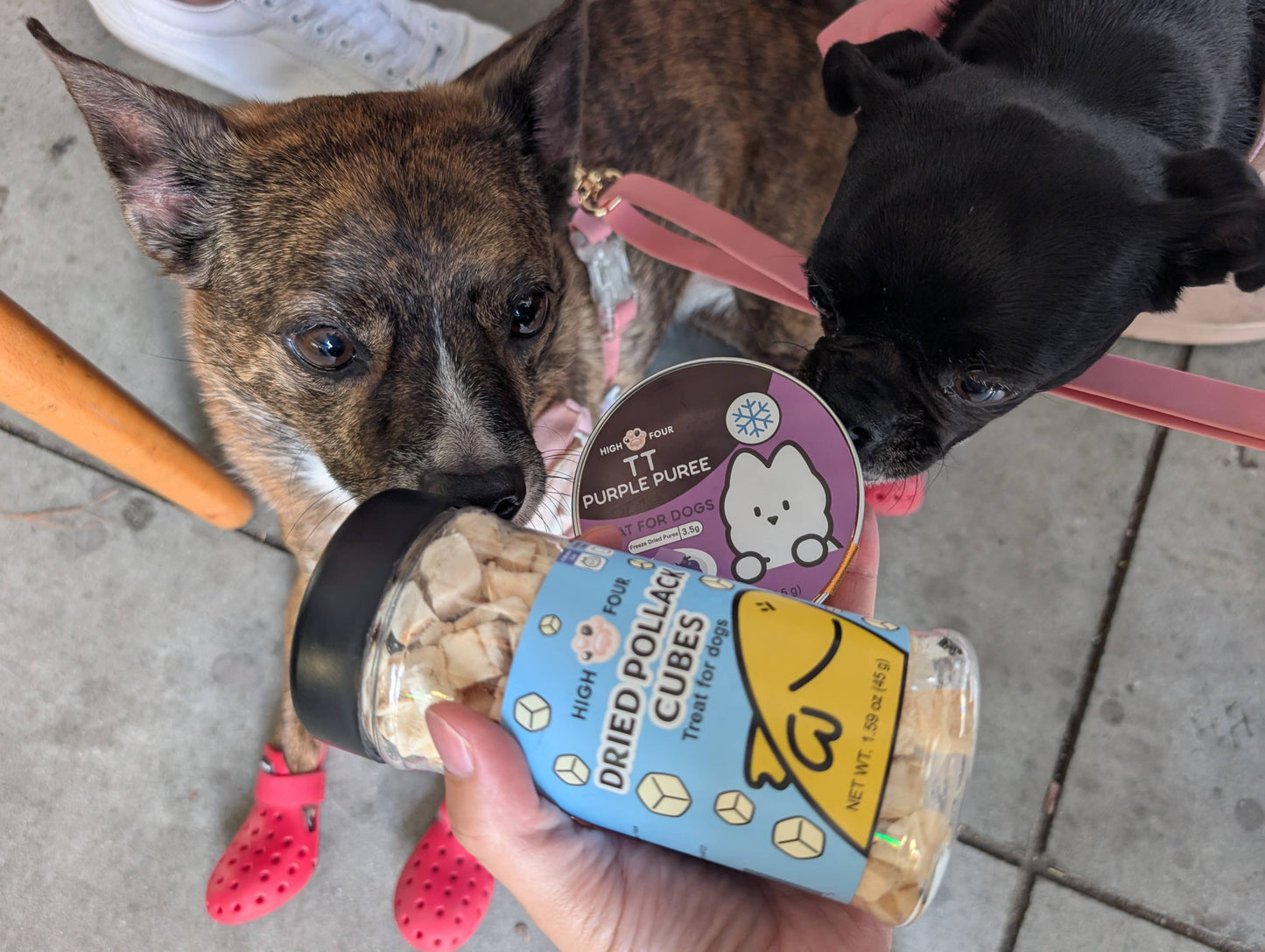 Freeze-Dried Pollack Cubes