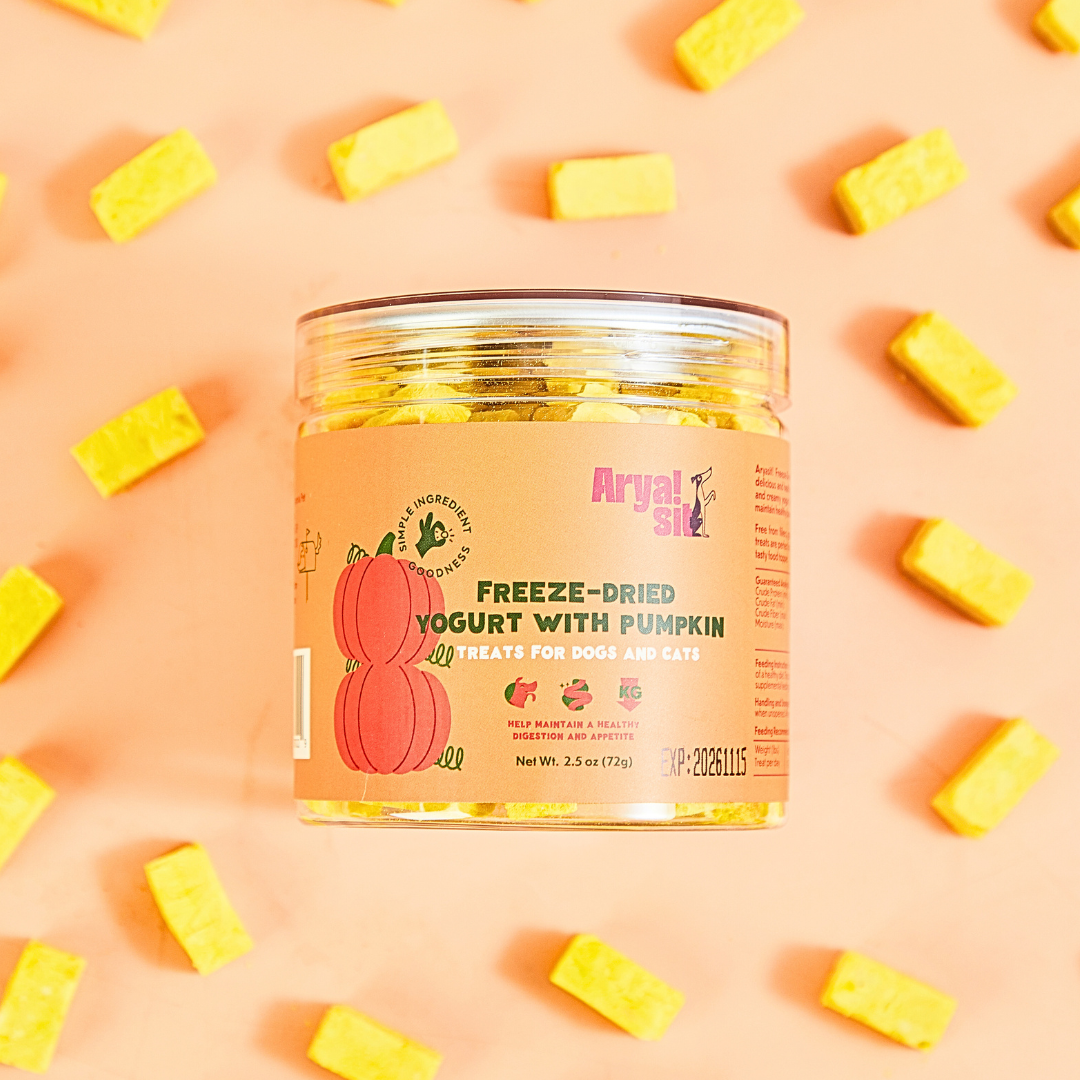 Freeze-Dried Pumpkin Yogurt