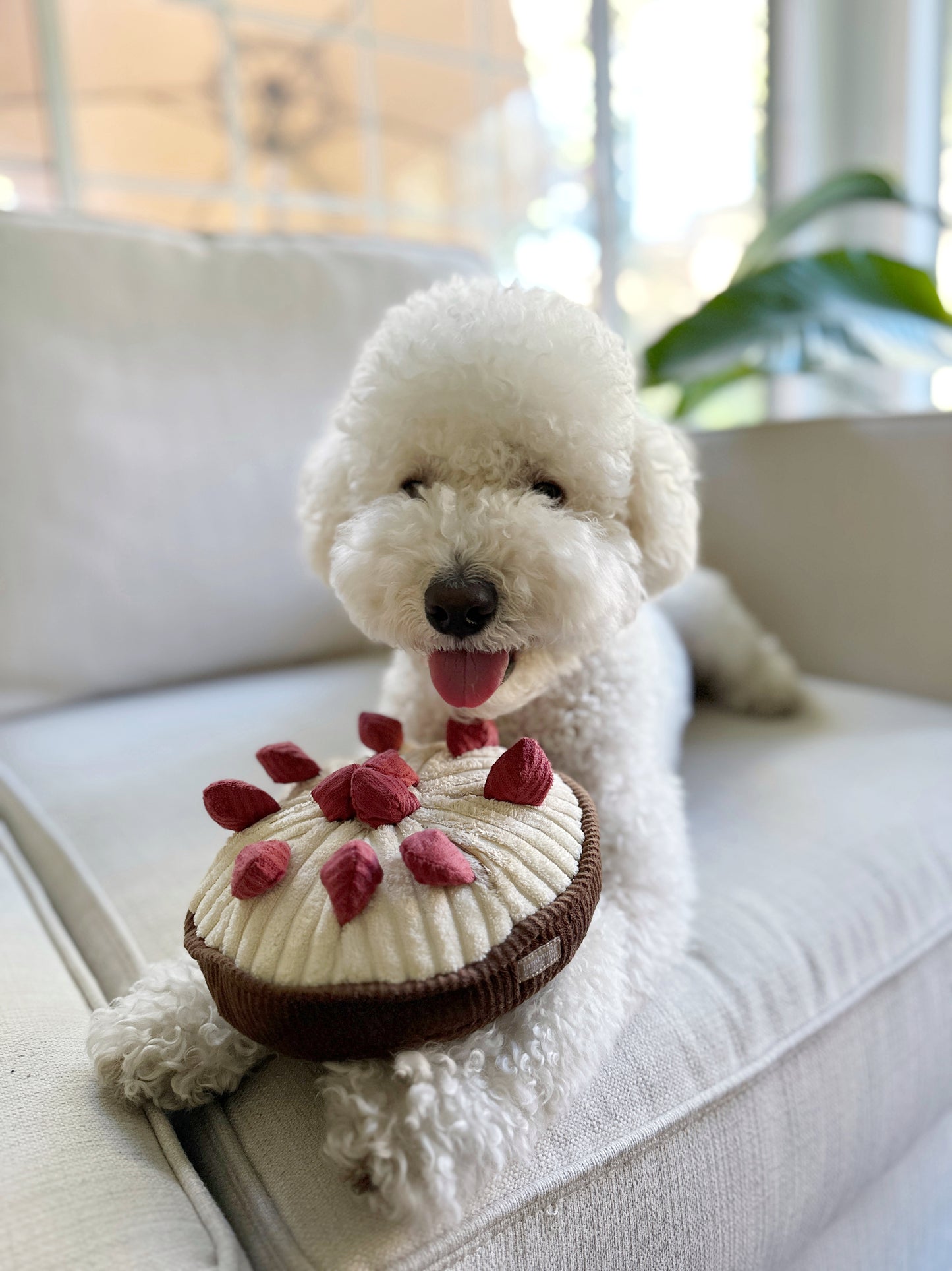Berry Pie Snuffle Toy: Interactive, Flat-Faced Friendly Foraging