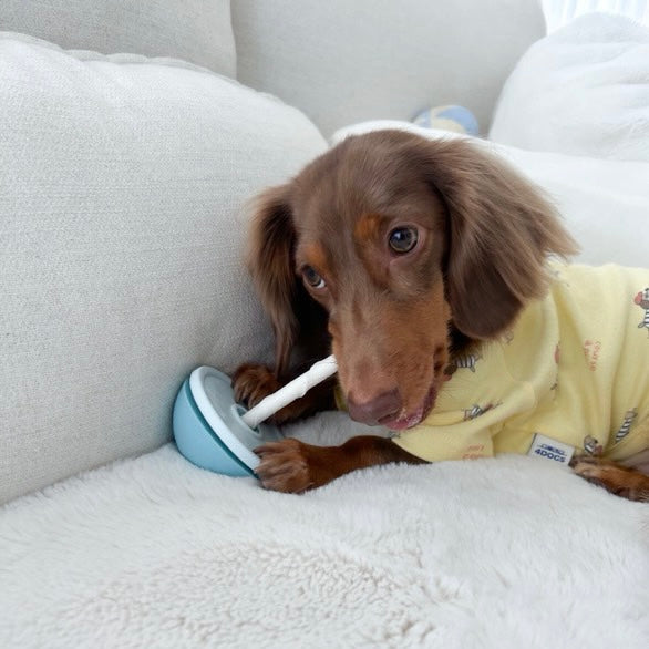 Asobone Chew Holder - MADE IN JAPAN