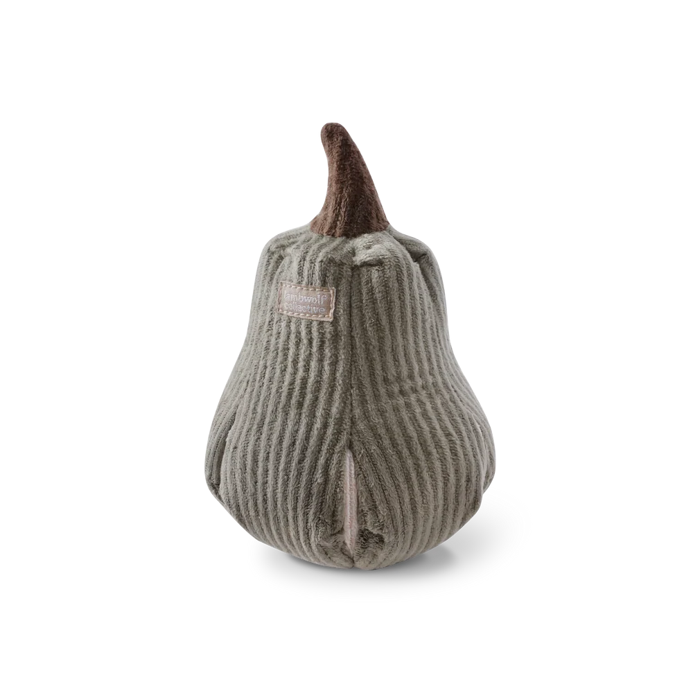 Butternut Snuffle Gourd: Intermediate Nosework Toy