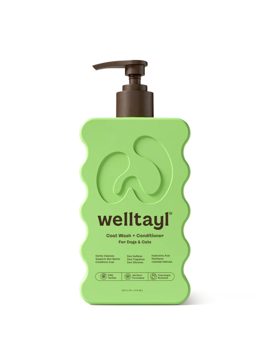 Coat Wash + Conditioner