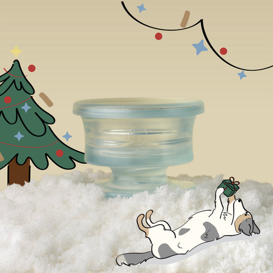 Glacier Ice Trove (Limited Edition): Enrichment Slow Feeder