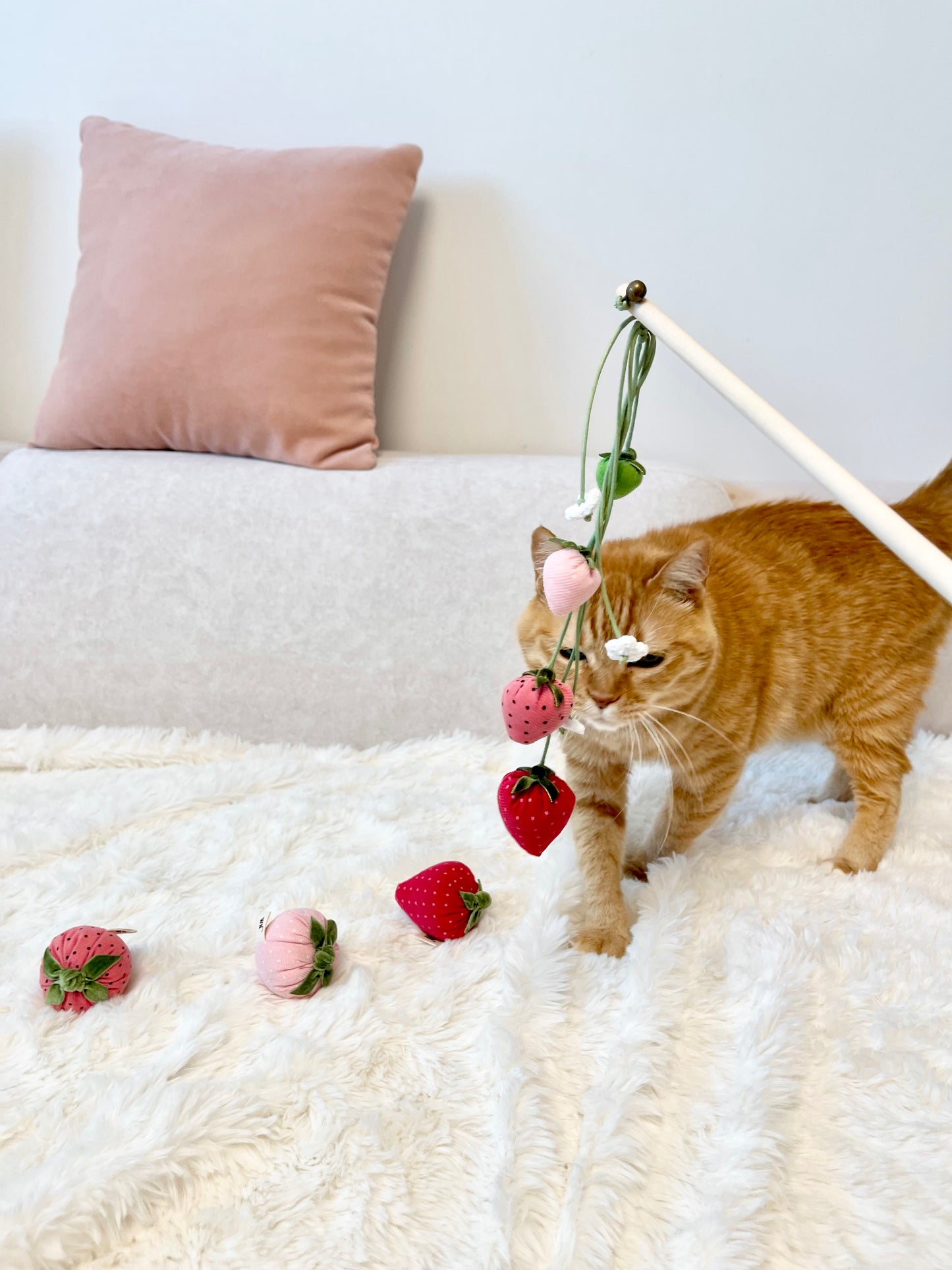 Strawberry Rod