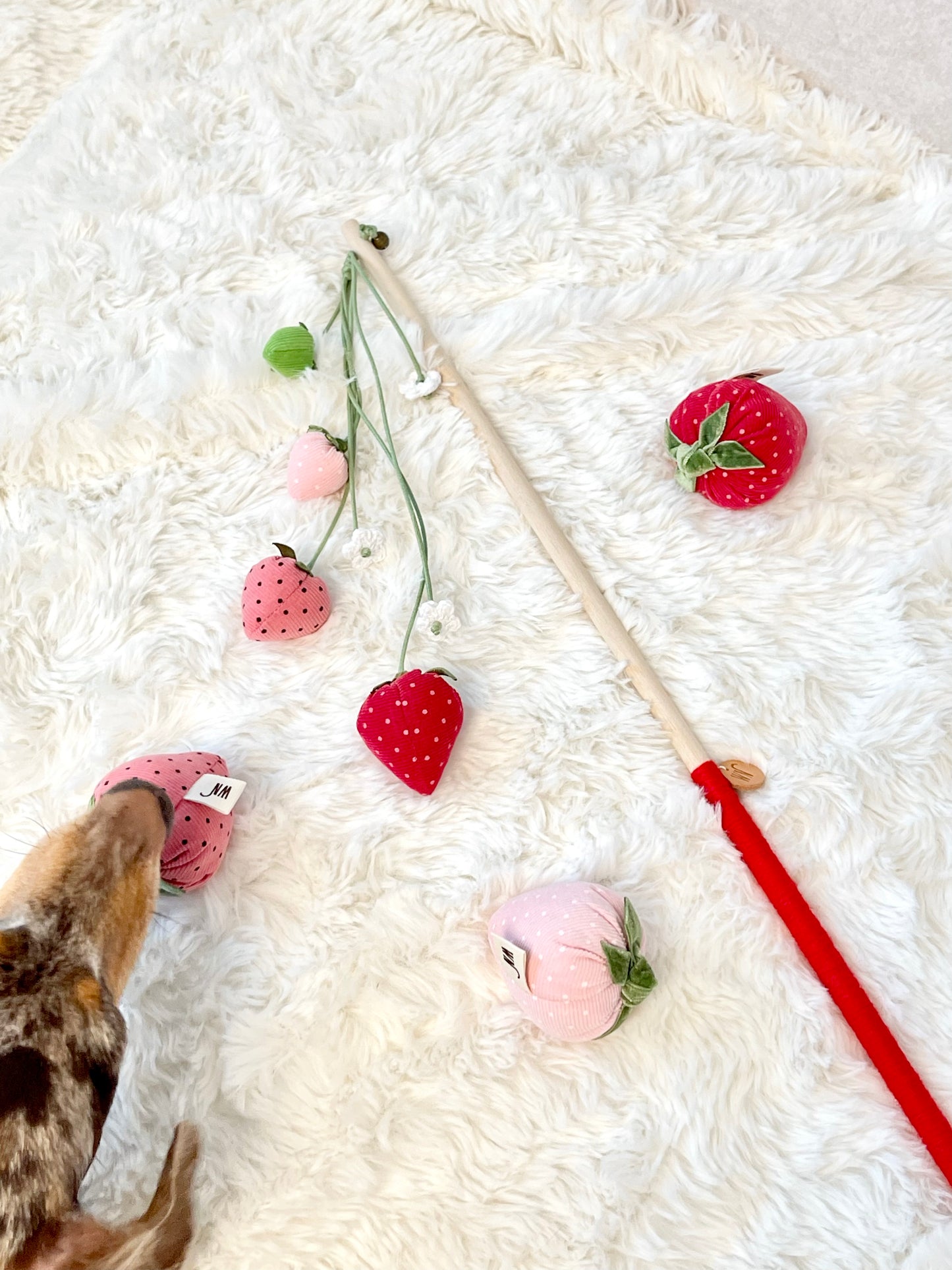 Strawberry Rod