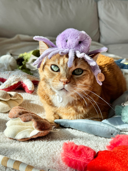 Octopus Headpiece