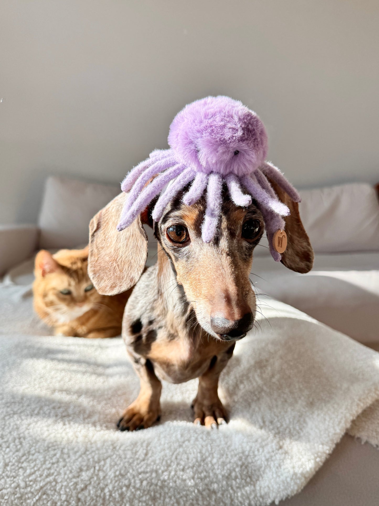Octopus Headpiece
