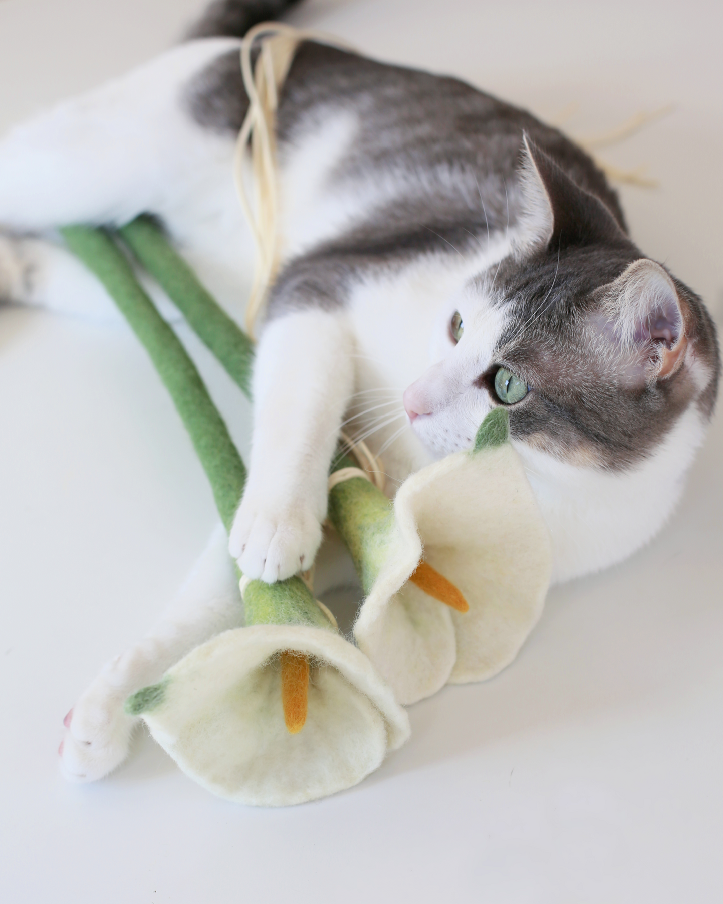 Flora Cat Wand Toy
