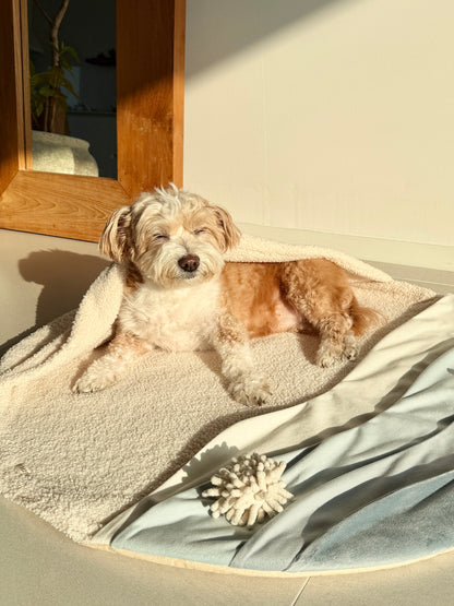 Beach Walk Snuffle Mat