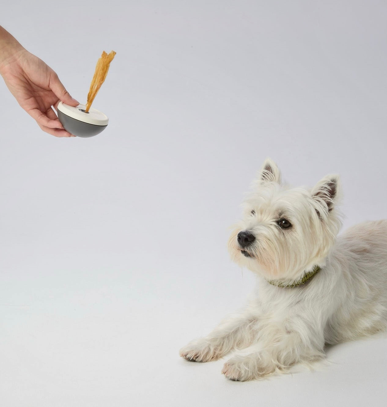 Asobone Chew Holder - MADE IN JAPAN