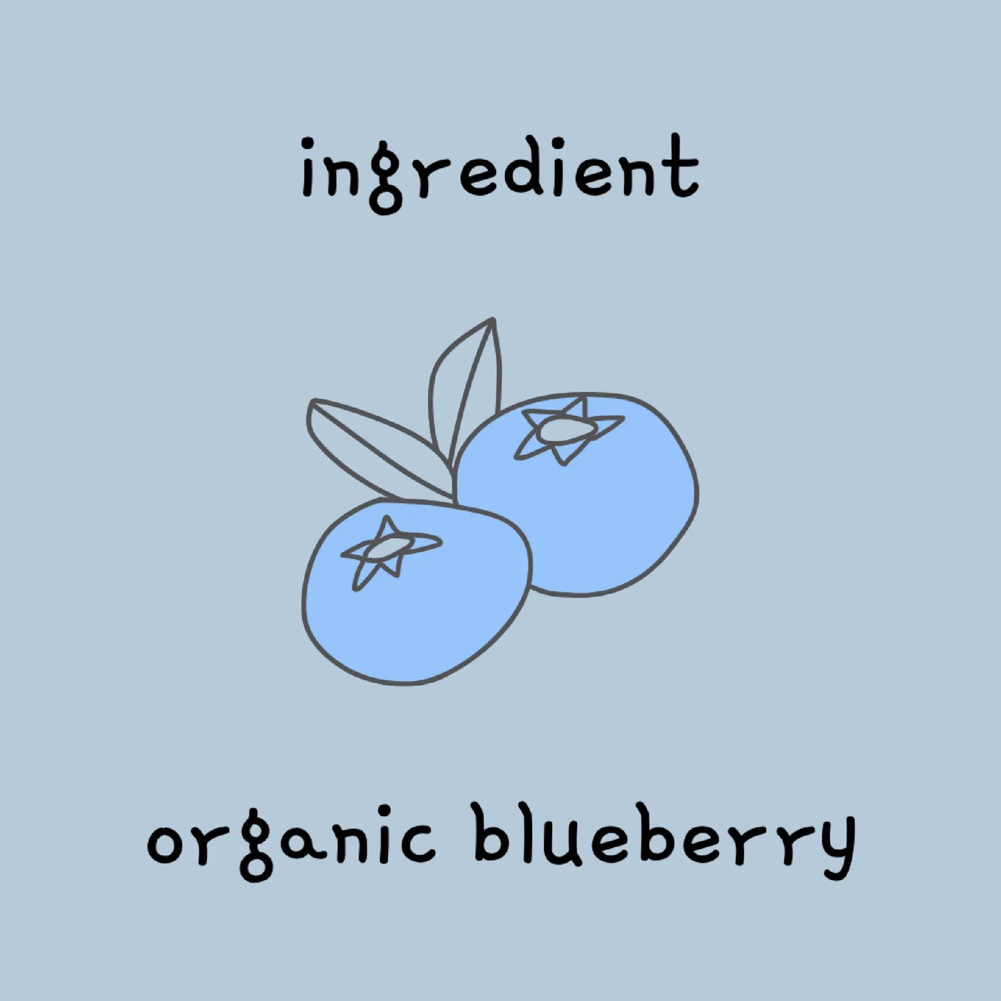 Freeze-Dried Tiny Blueberry Bites
