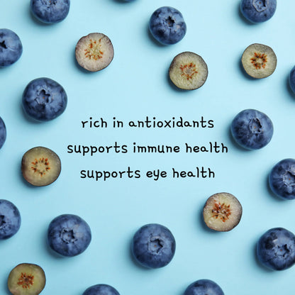 Freeze-Dried Tiny Blueberry Bites