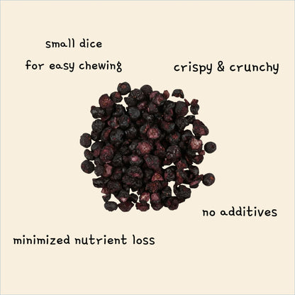 Freeze-Dried Tiny Blueberry Bites