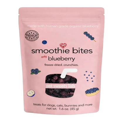 Freeze-Dried Tiny Blueberry Bites