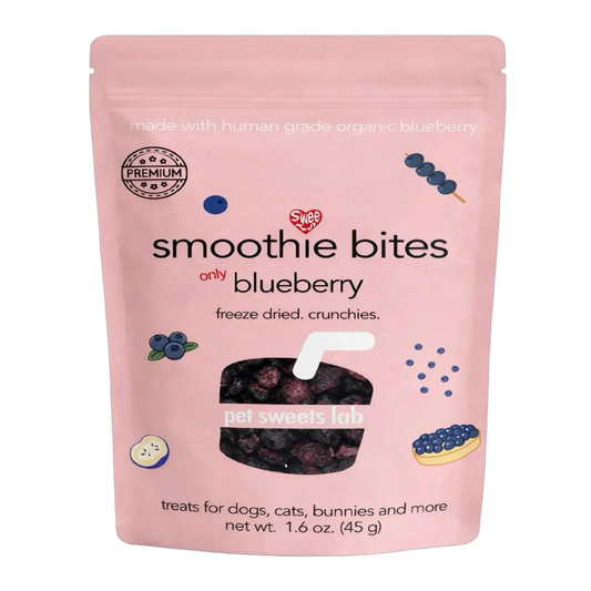 Freeze-Dried Tiny Blueberry Bites