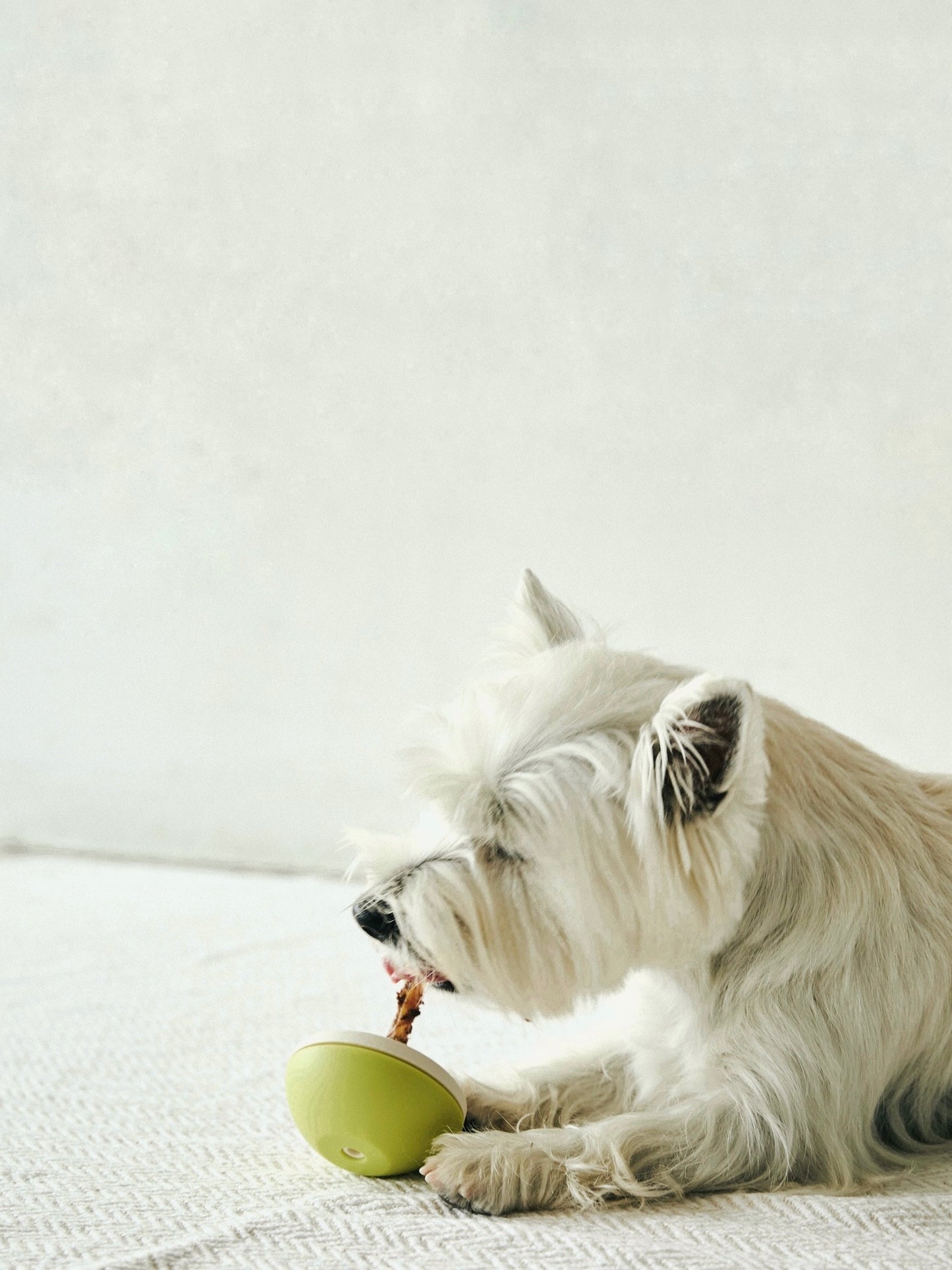 Asobone Chew Holder - MADE IN JAPAN