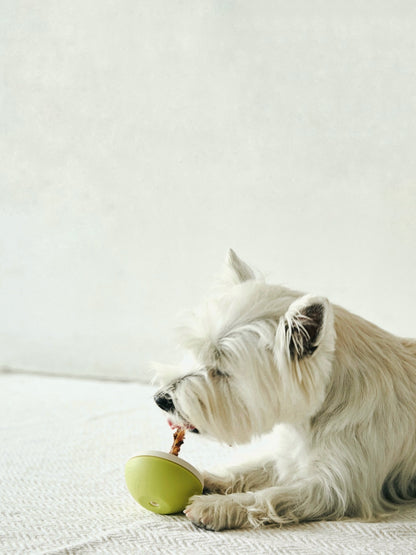 Asobone Chew Holder - MADE IN JAPAN