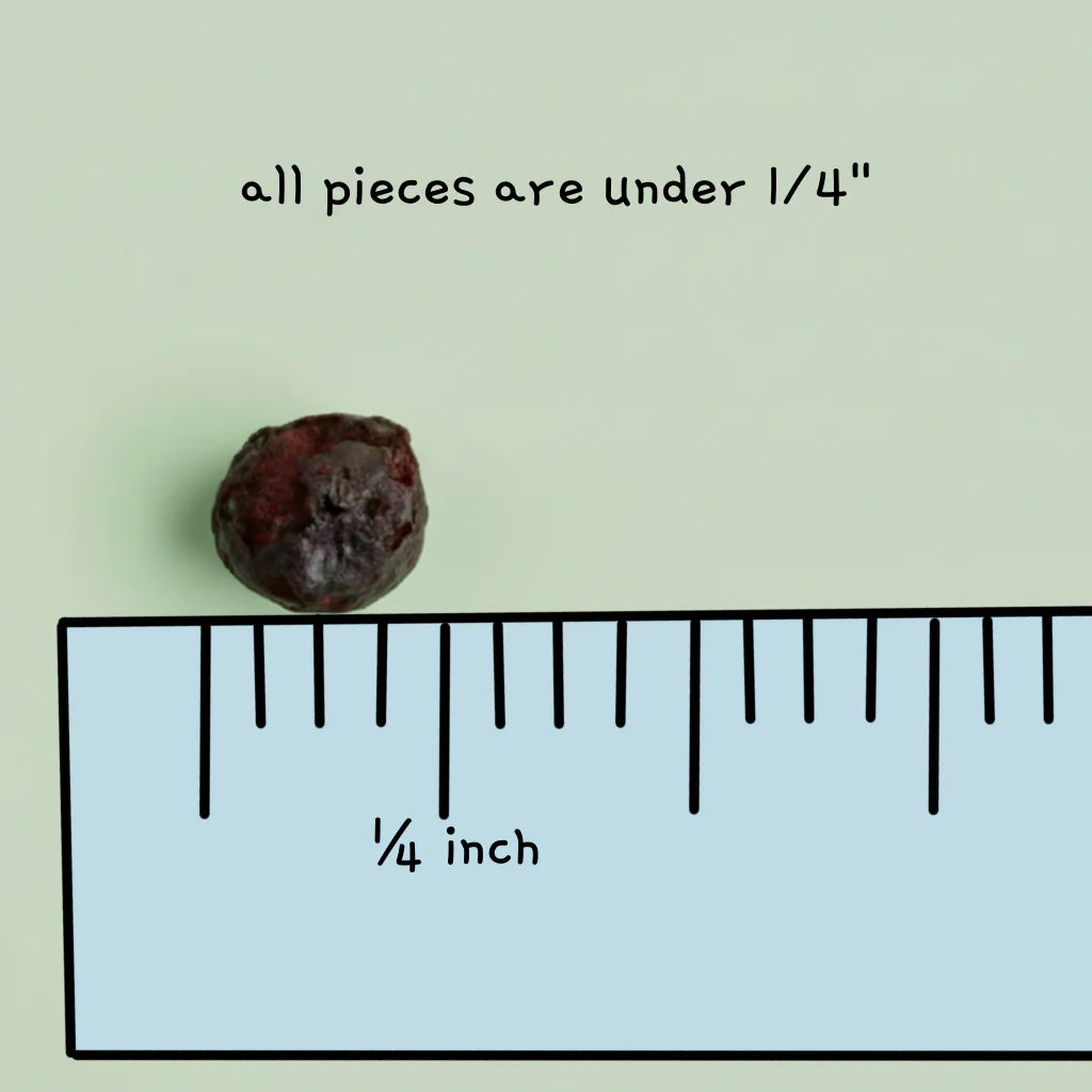 Freeze-Dried Tiny Blueberry Bites