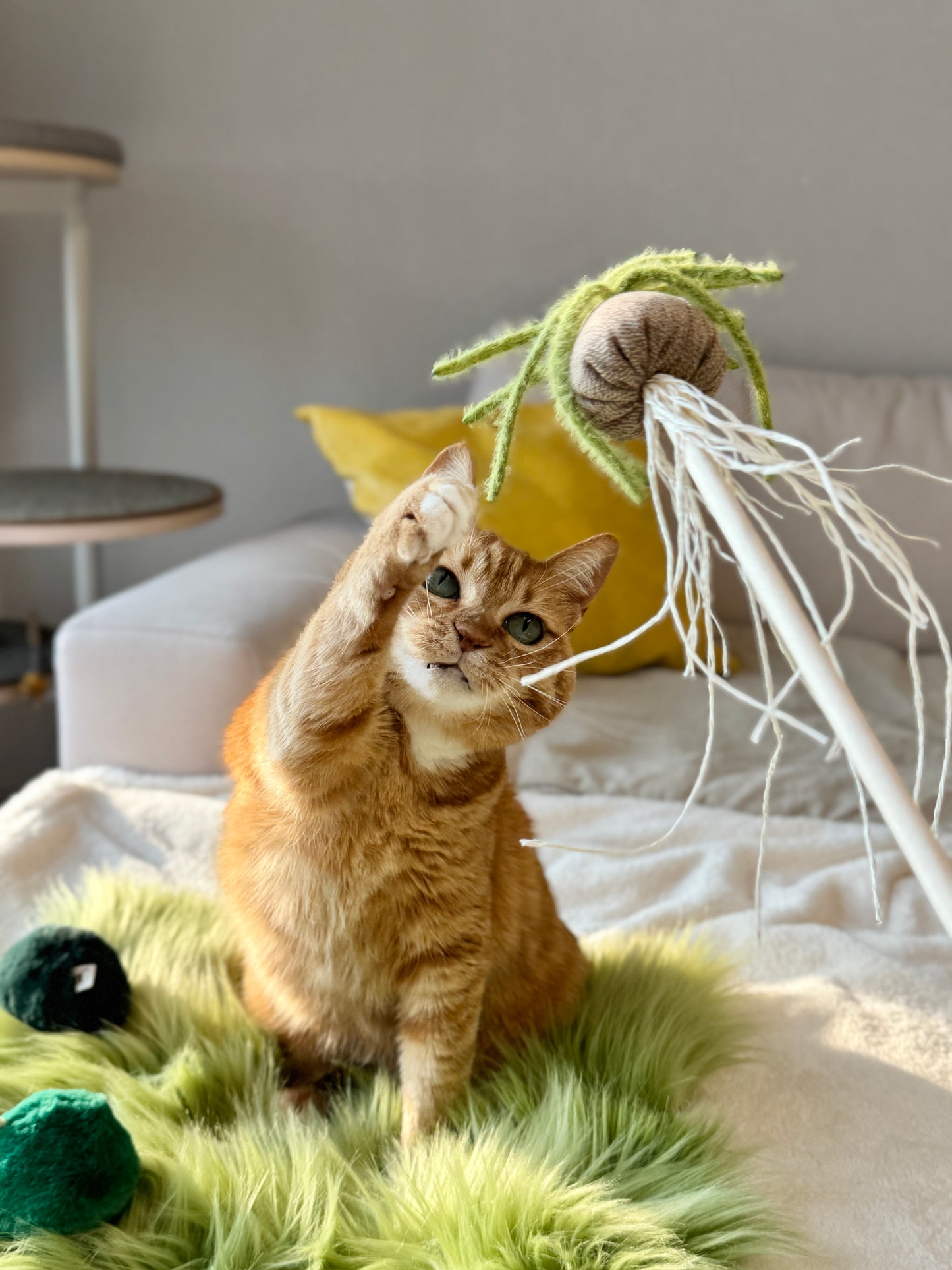Albuca Wand