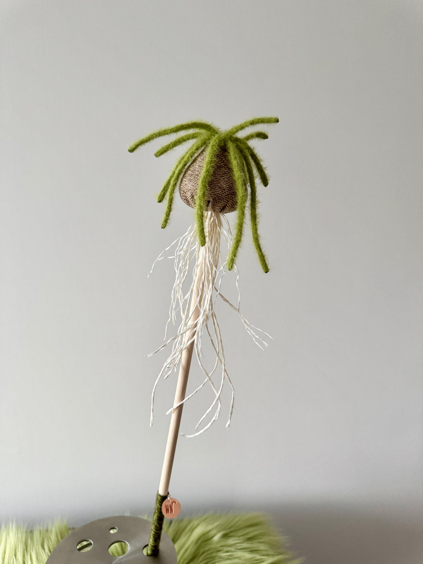 Albuca Wand