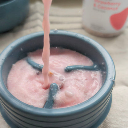 Pebble Puzzle Toy: Slow Feeder + Treat Dispenser