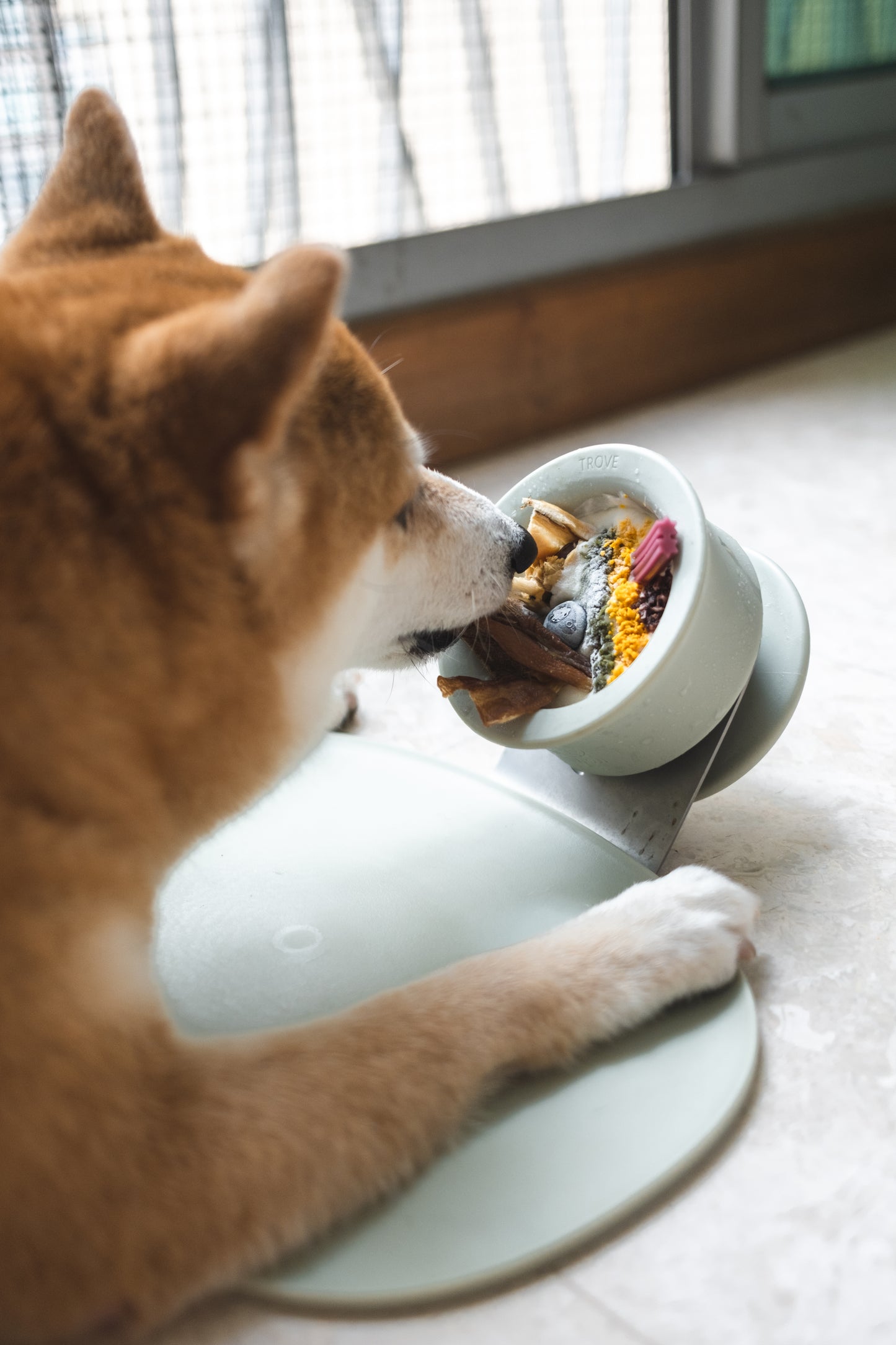 CHEWDEN Enrichment Set (Bundle + Save $10)