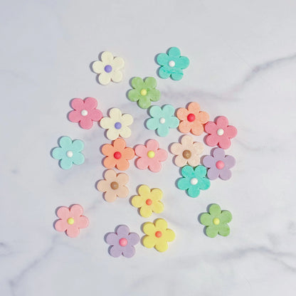 Organic Coconut Water Bites