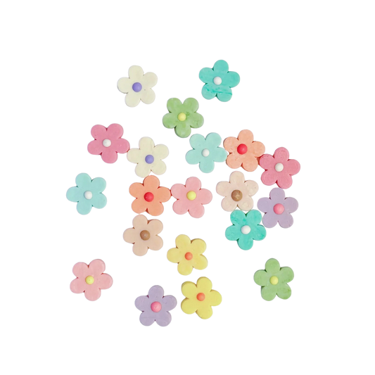 Organic Coconut Water Bites