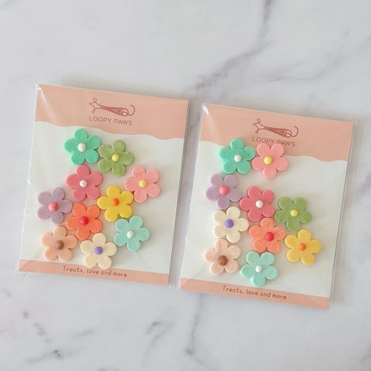 Organic Coconut Water Bites