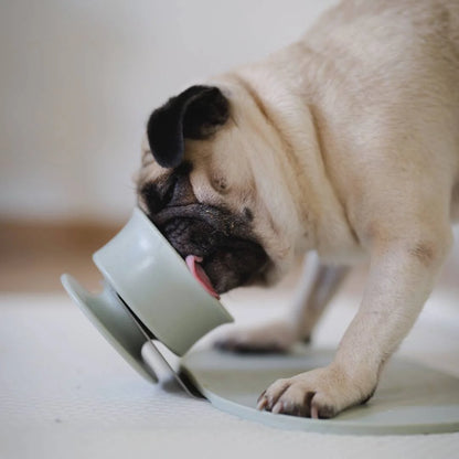 CHEWDEN Enrichment Set (Bundle + Save $10)