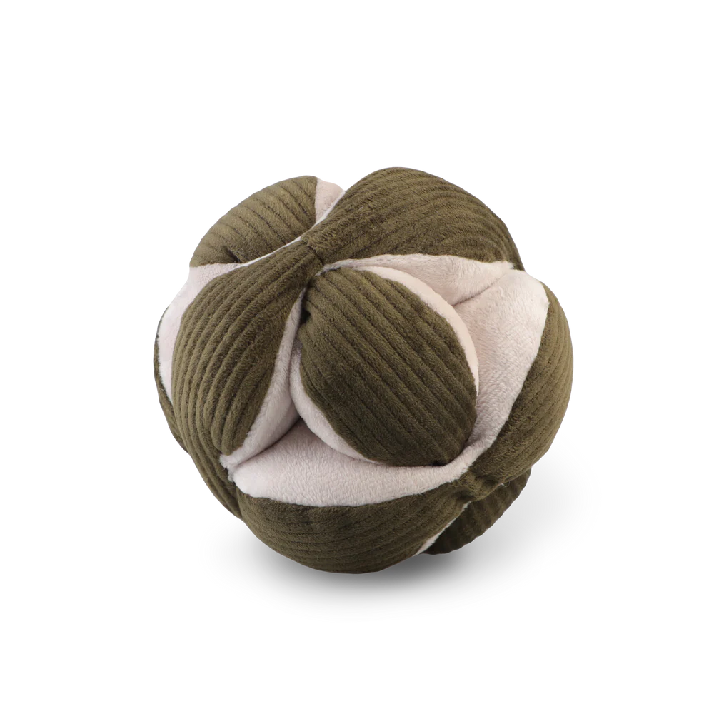 MONTI: Interactive Nosework Puzzle Toy