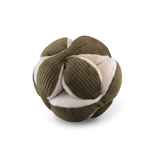 MONTI: Interactive Nosework Puzzle Toy