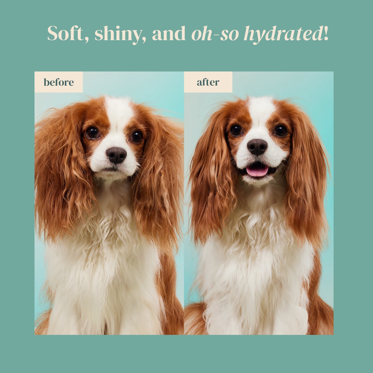 Rice Water Paw & Facial Shampoo