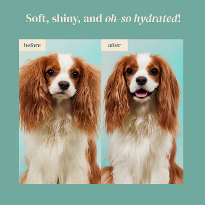 Rice Water Paw & Facial Shampoo