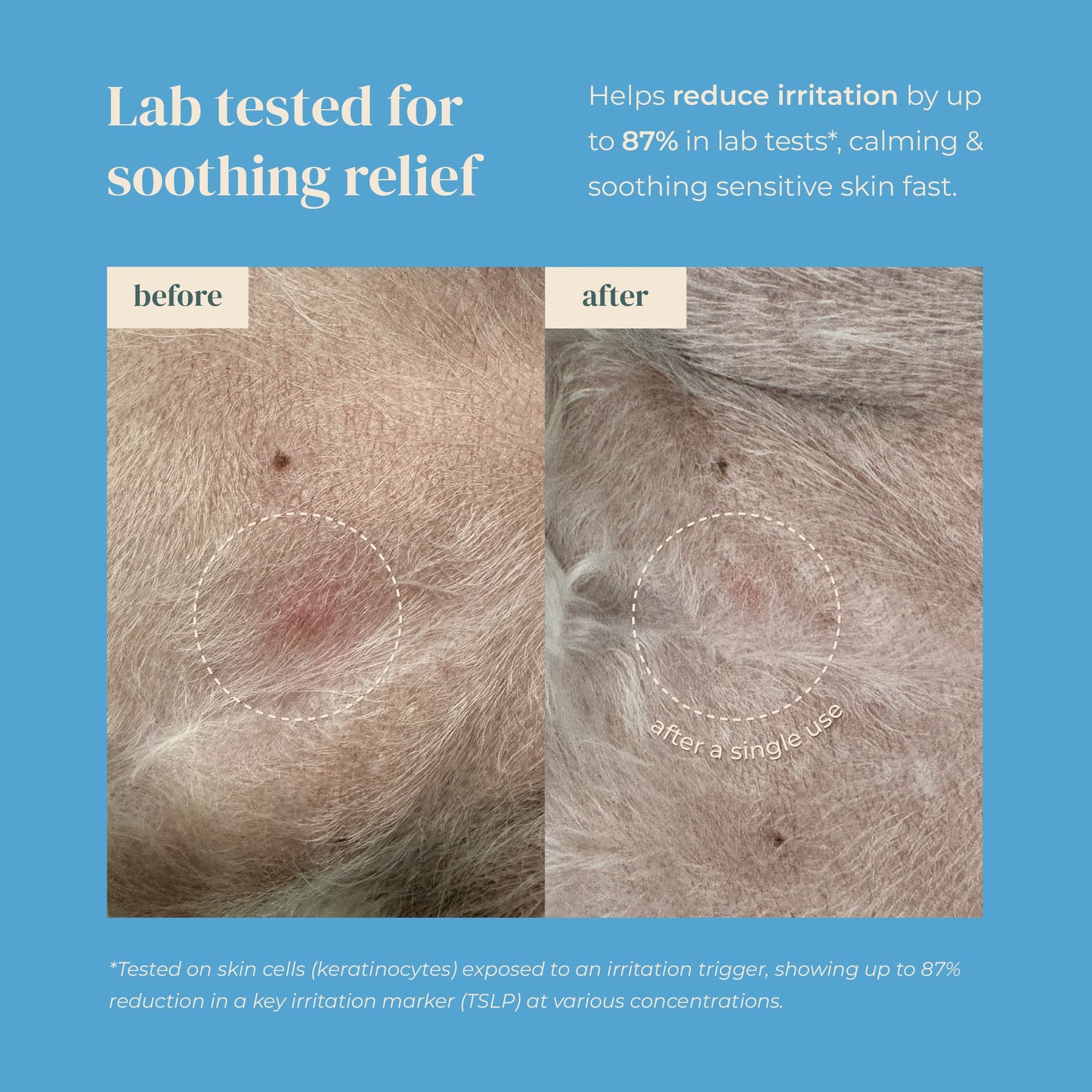 Nose-to-Tail Soothing Jelly Serum