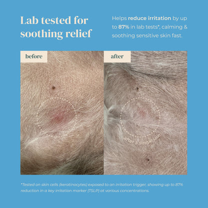 Nose-to-Tail Soothing Jelly Serum