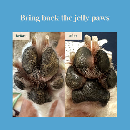 Nose-to-Tail Soothing Jelly Serum