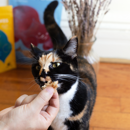 Bonito Flakes - Single-Ingredient (Wild-Caught)