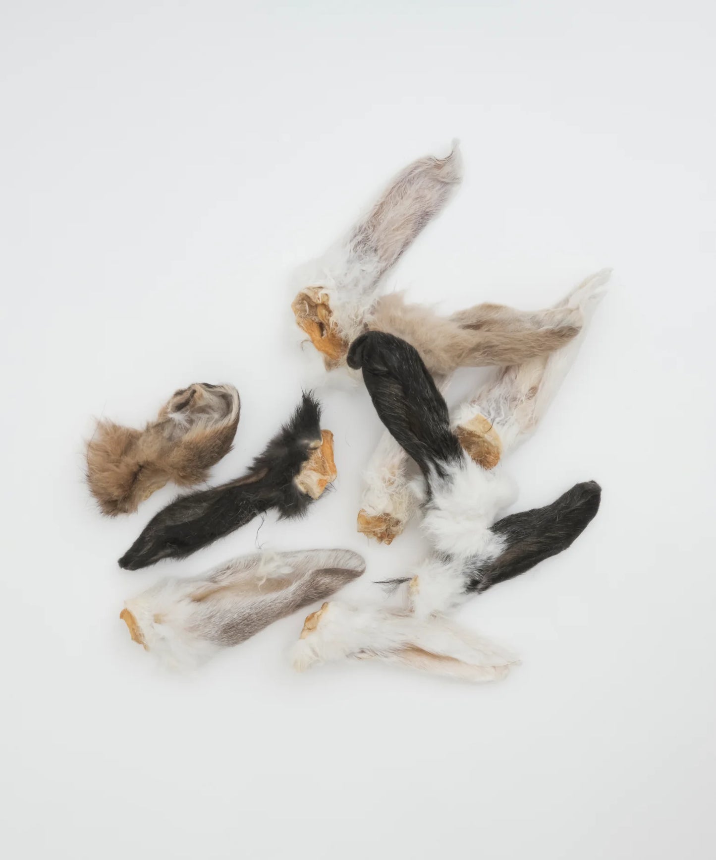 Freeze-Dried Rabbit Ears