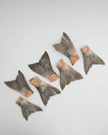 Freeze-Dried Wild Salmon Tails
